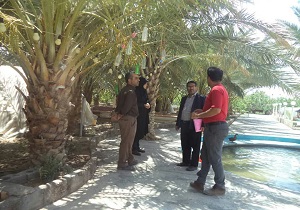 بهره برداری از چهار مجموعه جدید گردشگری در بافق