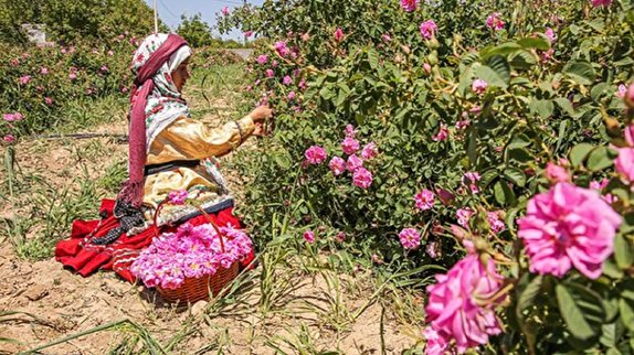 &nbsp;انهدام بزرگترین شبکه&zwnj; قاچاق سوخت در شرق کشور/ تالار&zwnj;های پذیرایی در شرف ورشکستگی/وقتی آتش دامن مراتع را رها نمی&zwnj;کند