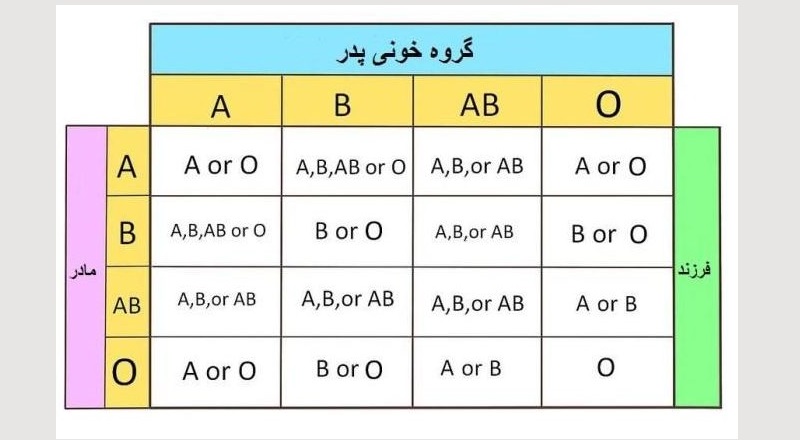 حقایق عجیب و جالب درباره ۴ گروه خون/ کدام گروه خونی طلایی است؟