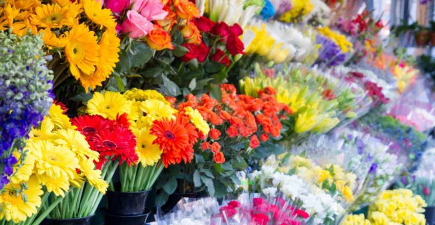 تقاضای کمتر از ۱۰ درصدی برای خرید گل؛ ضایعات تولید گل بیش از ۹۰ درصد است