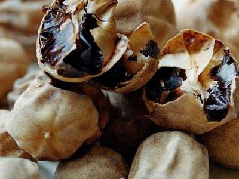 کشف بیش از یک تن لیمو عمانی قاچاق در همدان