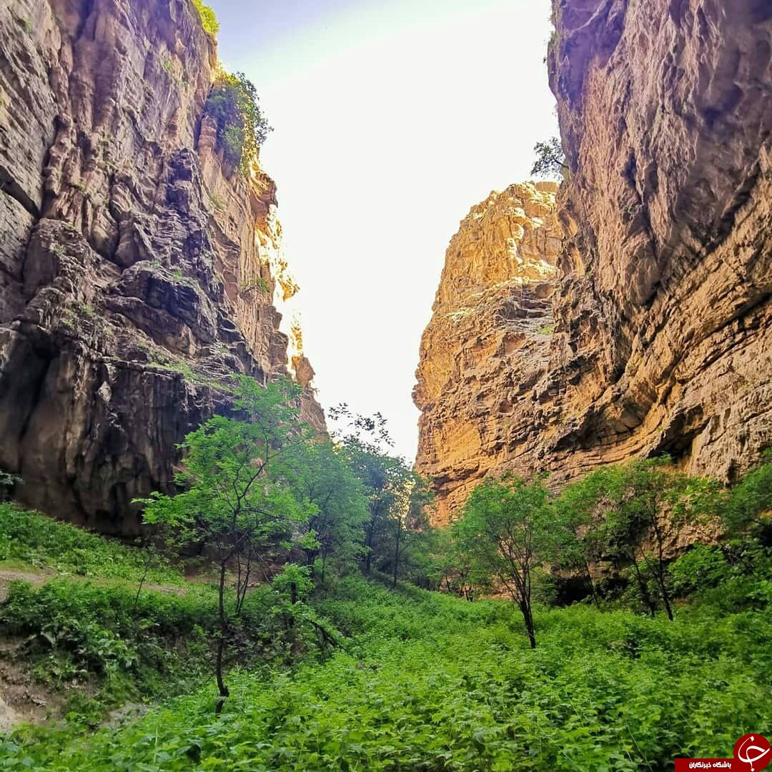 طبیعت دره دامچی درگز