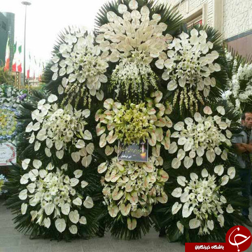 از پژمرده شدن گل های نقره تا رویش گل های امید