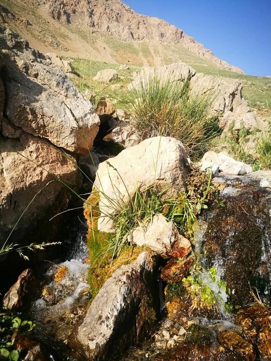 تصاویری زیبا از طبیعت بهاری در روستای چوبین