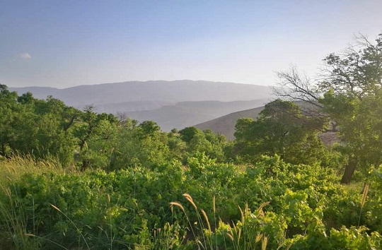 تصاویری زیبا از طبیعت بهاری در روستای چوبین