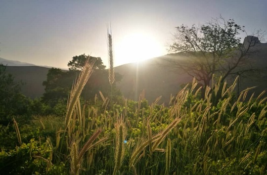 تصاویری زیبا از طبیعت بهاری در روستای چوبین