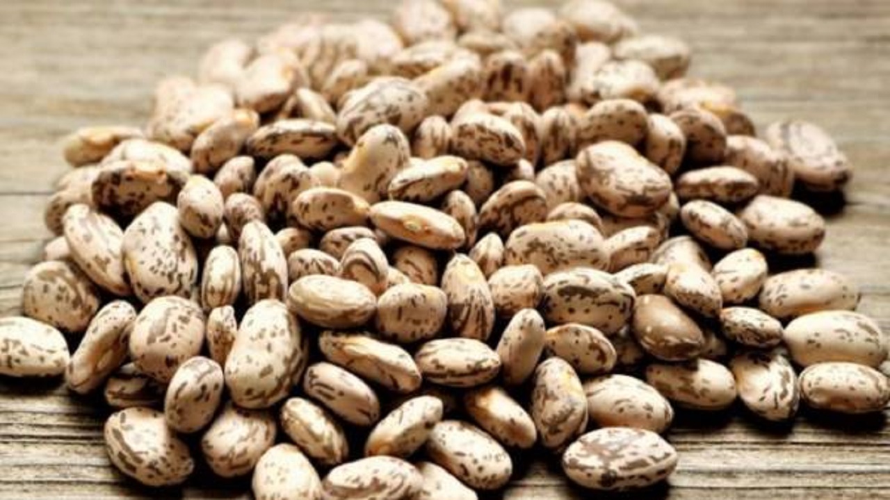 بهترین منبع پروتئین گیاهی که جایگزین گوشت است
