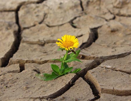 افراد تاب آور چه ویژگی&zwnj;هایی دارند؟