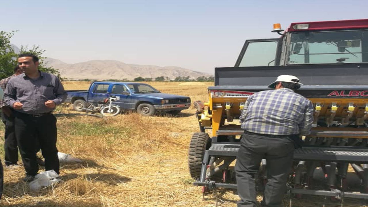 کشت مستقیم برنج با روش خشکه کاری برای نخستین بار در کازرون