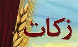 پیش بینی پرداخت ۳۰۰ میلیون تومان زکات در فردوس