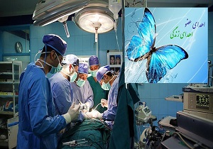 گاهی مرگ زندگی می بخشد