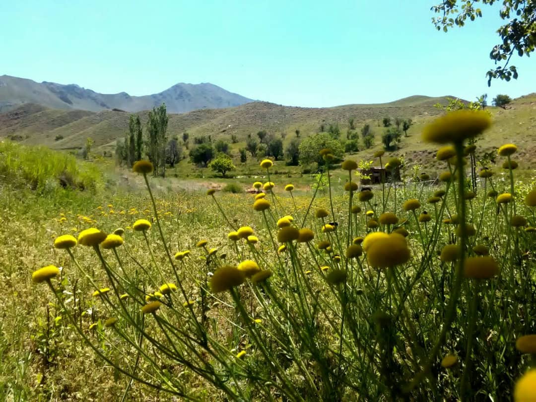تصاویر روستای رودخانه بخش رخ