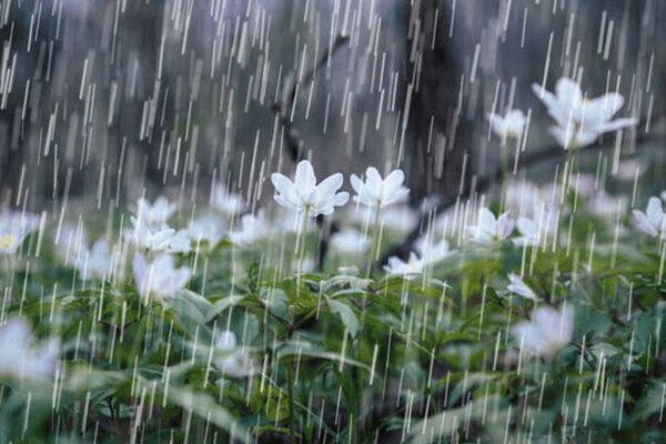 افزایش ۲۴ درصدی بارش نزولات جوی در همدان