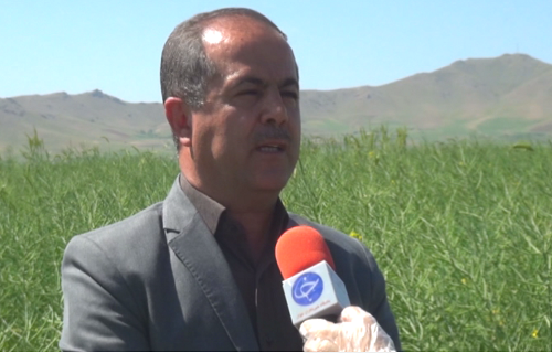 مدیر جهاد کشاورزی دهگلان