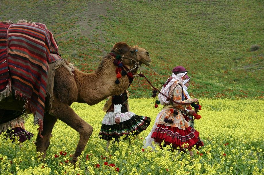 عشایر نماد سخت کوشی و زندگی در خراسان شمالی