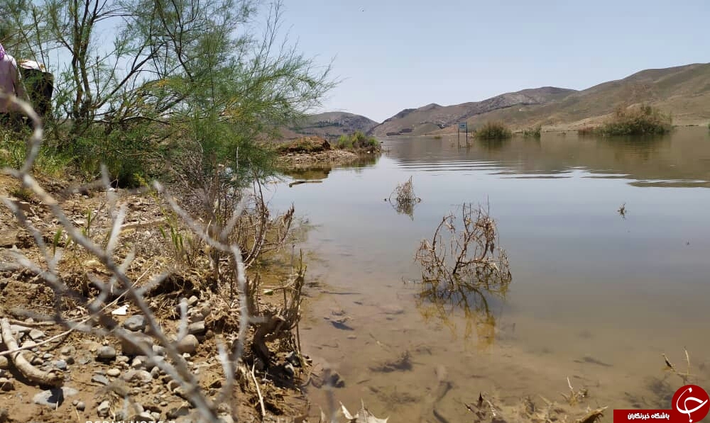 طبیعت زیبای بهار در حوالی سد کارده