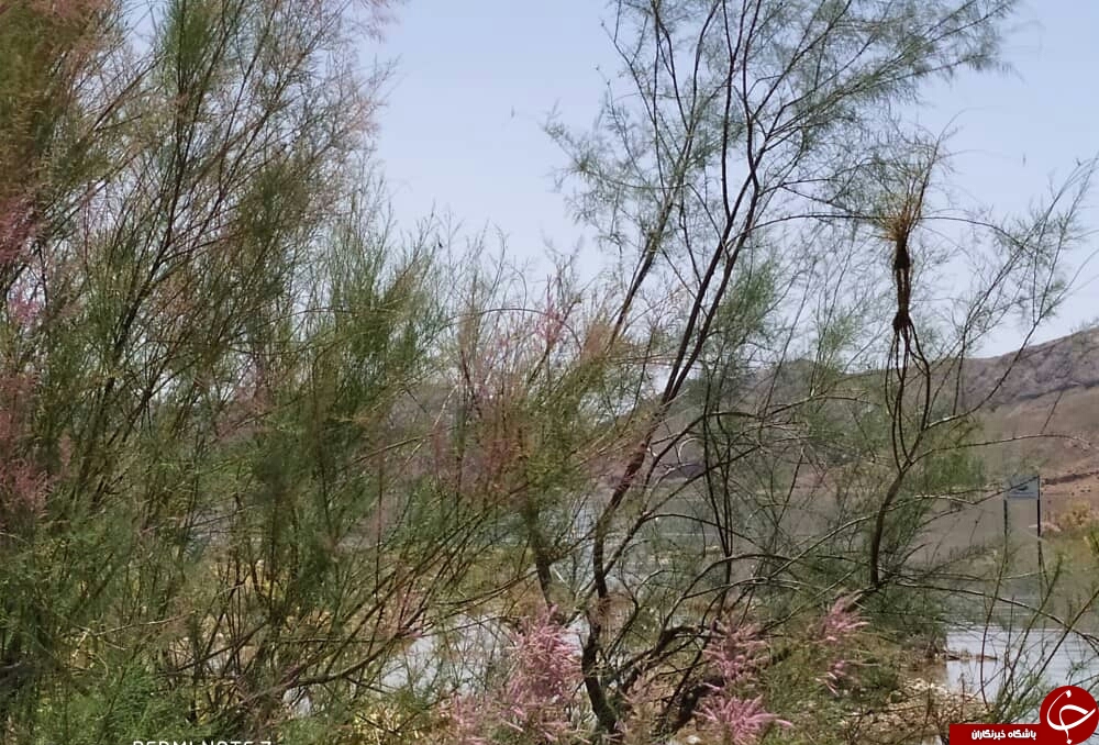 طبیعت زیبای بهار در حوالی سد کارده