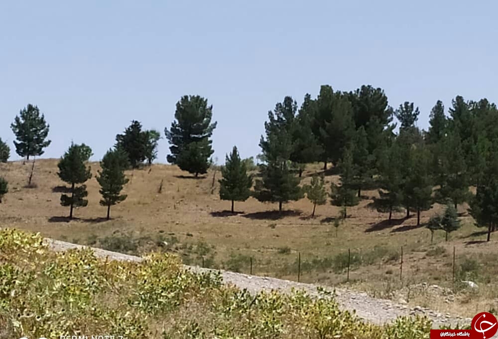 طبیعت زیبای بهار در حوالی سد کارده