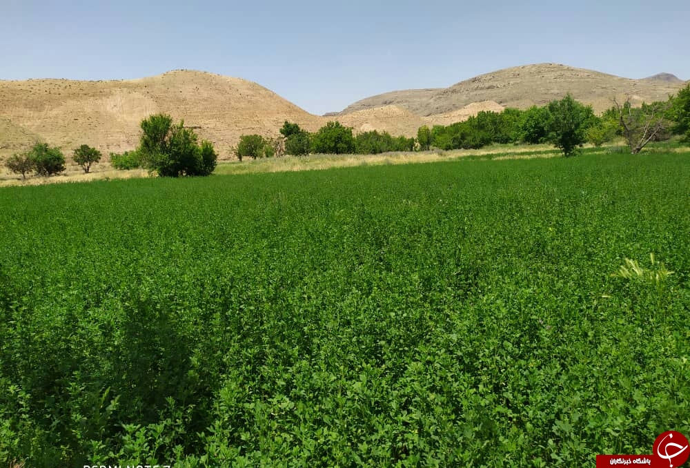 طبیعت زیبای بهار در حوالی سد کارده