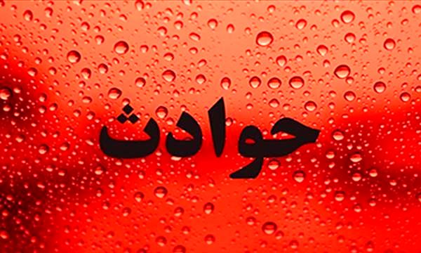 مصدومیت رئیس محیط زیست سروستان/بالگرد هلال احمر فارس به پرواز درآمد