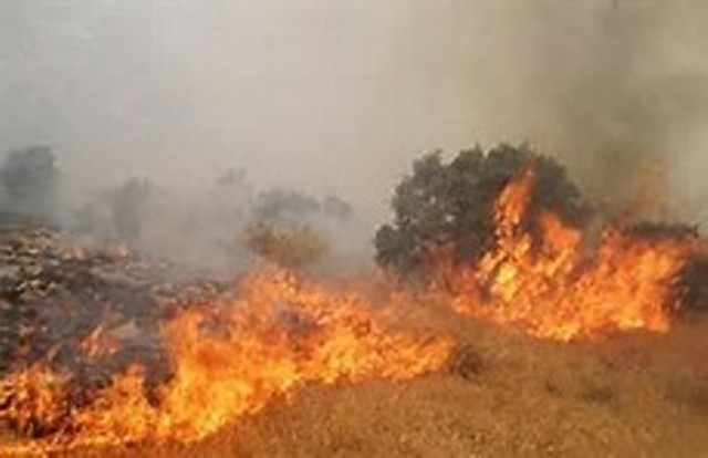 آتش‌سوزی در مراتع روستای چپانلو شیروان