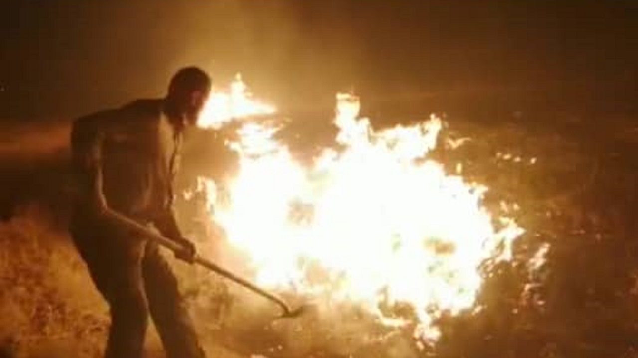 آتش سوزی در اطراف بوستان جنگلی عامری دیلم مهار شد