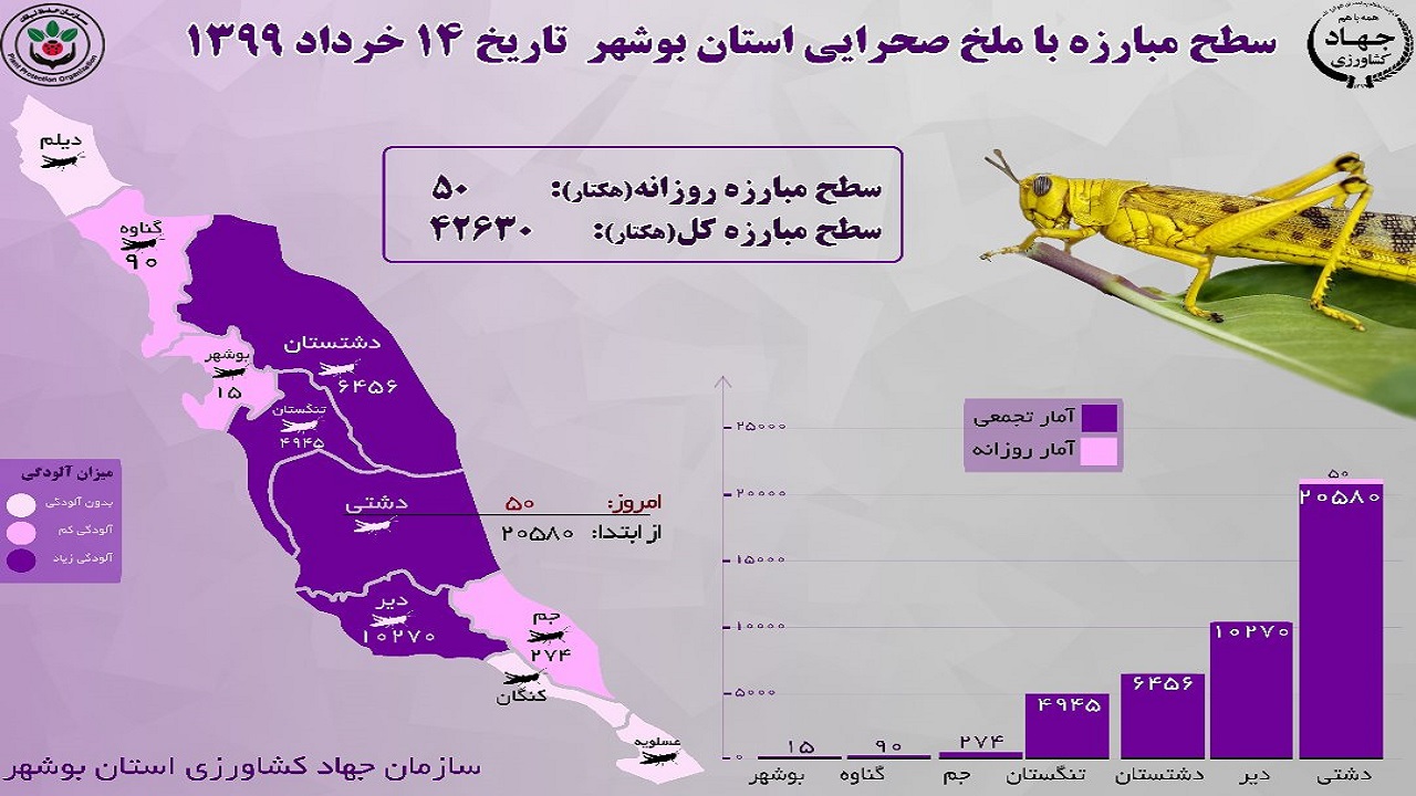 ملخ&zwnj;ها از استان بوشهر برچیده شدند