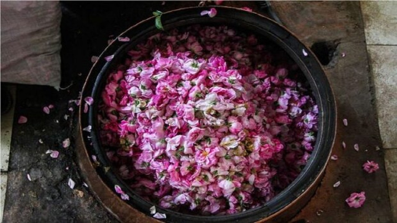 ارزآوری ۲۱ میلیون دلاری صنعت گلاب و اسانس کاشان برای کشور