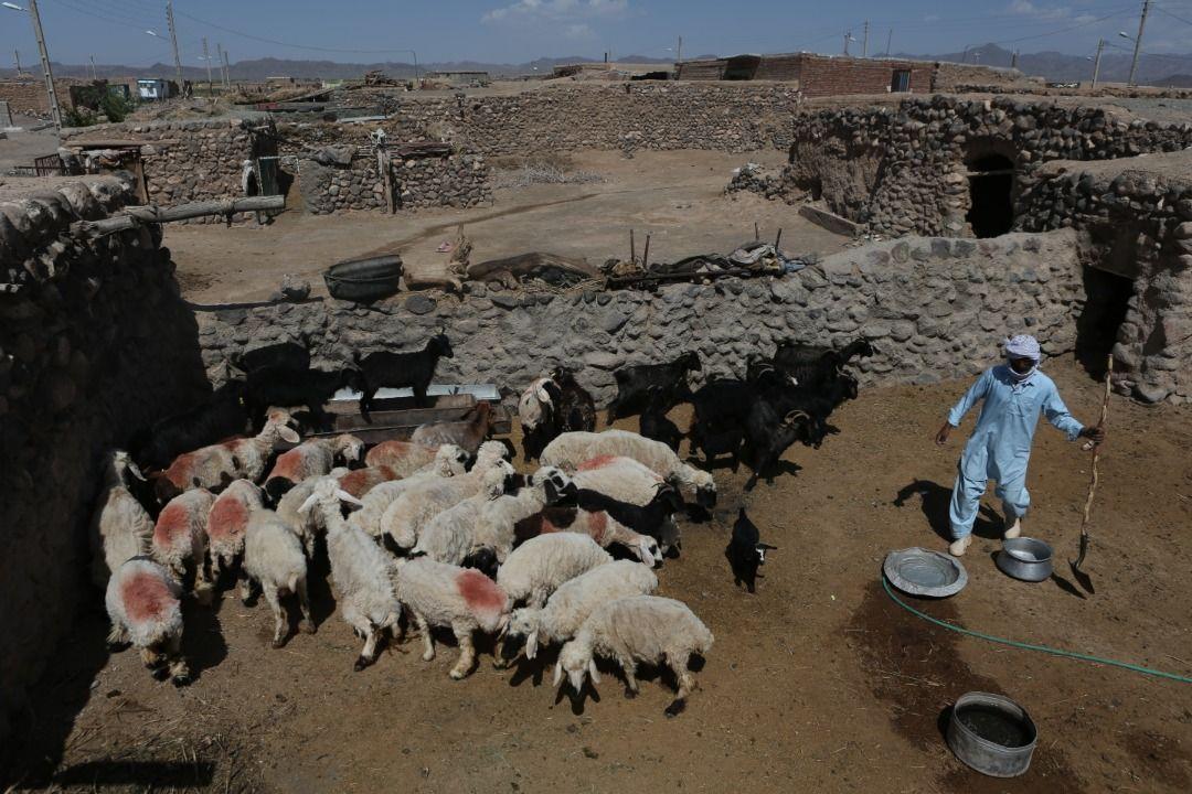 ۱۰ هزار و ۵۰۰ شغل جدید برکت در خراسان جنوبی
