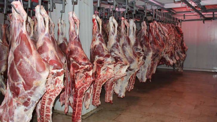 کاهش ۱۰ درصدی قیمت گوشت قرمز در بازار