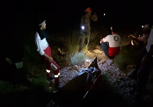 سقوط از ارتفاع موجب مرگ شهروند ده دشتی شد