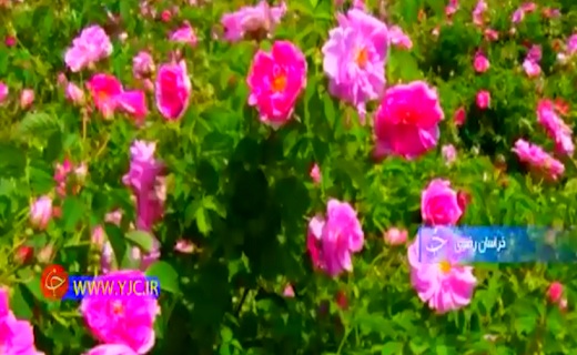 خراسان رضویلرستانمهاباداصفهان