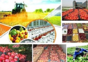 ۷۱ طرح عمرانی و زیرساختی جهاد کشاورزی لرستان آماده بهره برداری است