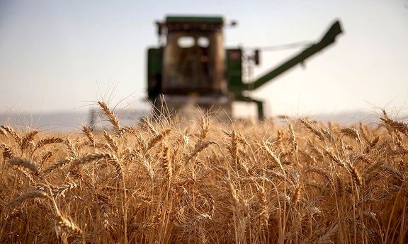 آغاز خرید تضمینی گندم در خراسان شمالی