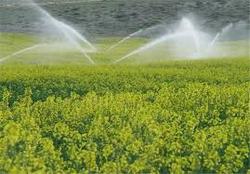 هدفگذاری برای اجرای سامانه آبیاری تحت فشار در زنجان  یگهزا ر۸۱۷ هکتار است