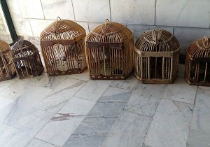 دستگیری شکارچی کبک در دیواندره