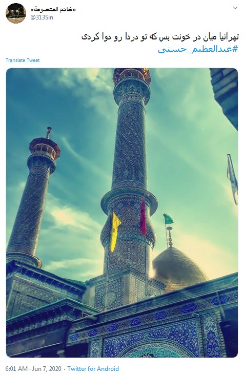 ما را وصال کرب و بلا گر نصیب نیست؛ هستیم پس دخیل تو یا سیدالکریم