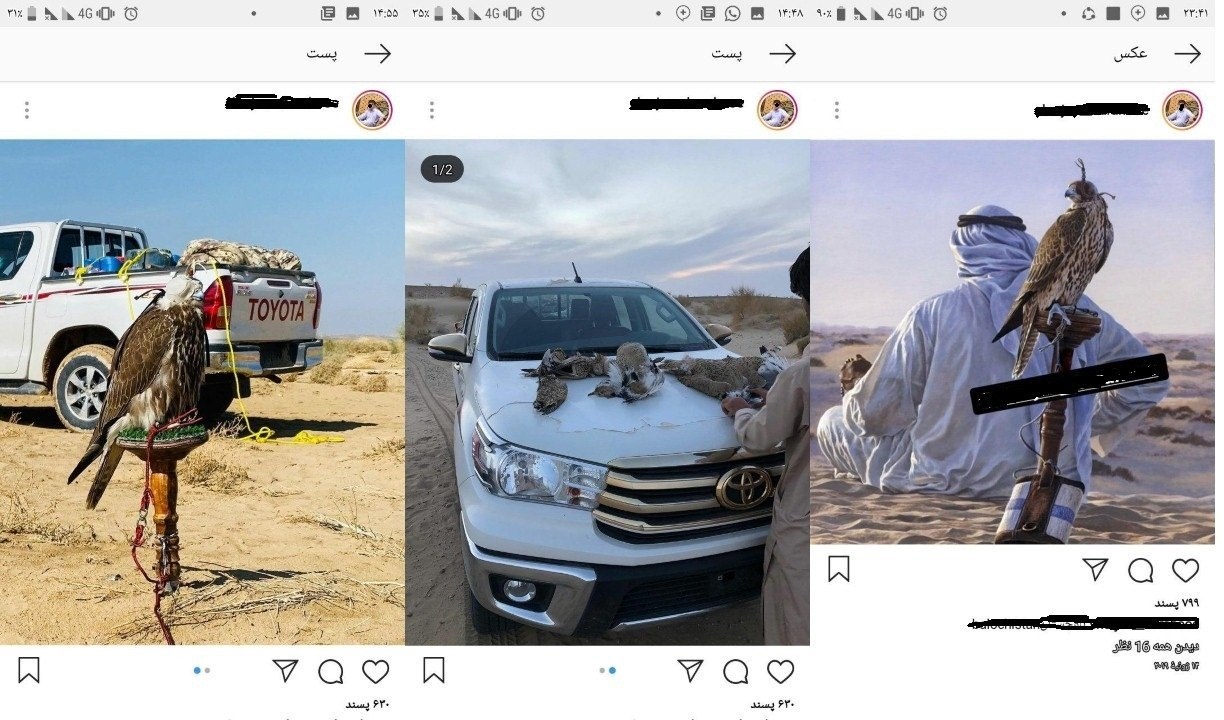 شناسایی ۹۷ متخلف زیست محیطی در سیستان و بلوچستان