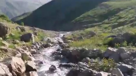 چشم‌اندازی از طبیعت بکر در منطقه انگورستانی + فیلم