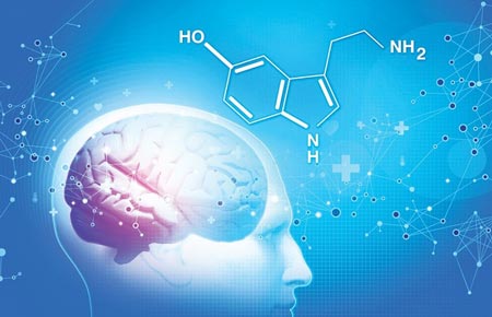 سروتونین چیست و خوراکی&zwnj;های منبع سروتونین کدامند؟