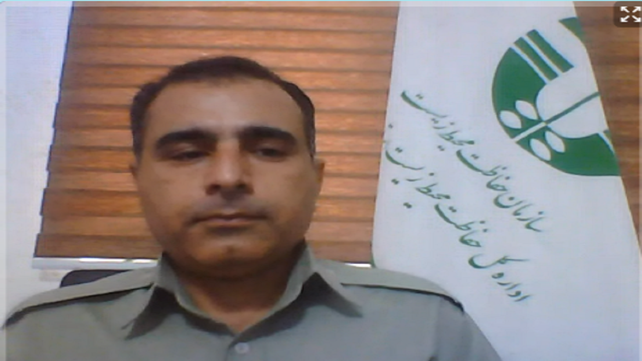 محیط زیست
