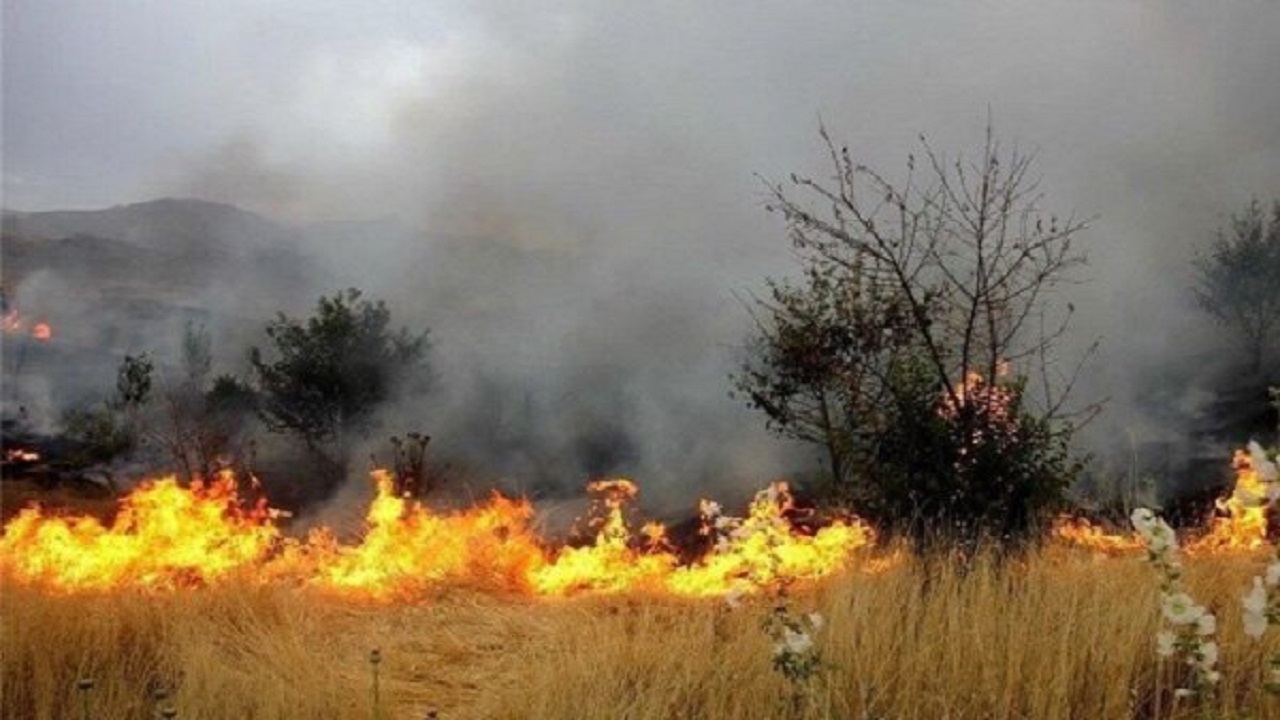 مانور اطفای حریق جنگل‌ها و مراتع ارسباران برگزار می‌شود