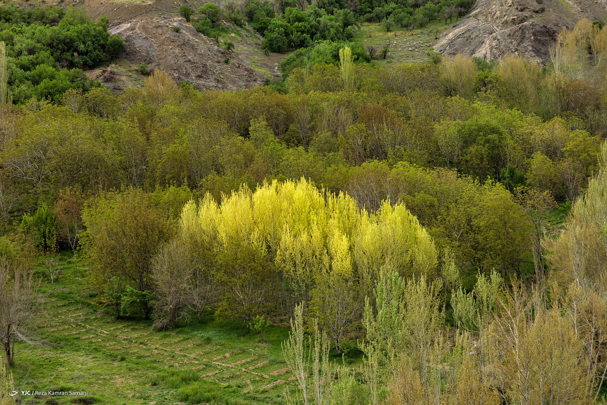 بهار بازفت یکی از زیباترین جاذبه&zwnj;های طبیعی ایران + تصاویر