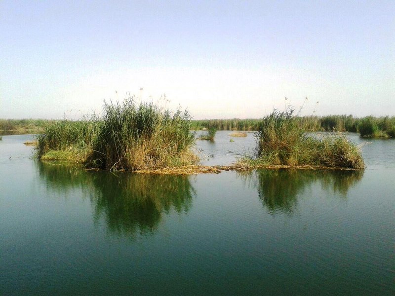 تالاب هورالعظیم به کنوانسیون رامسر می‌پیوندد