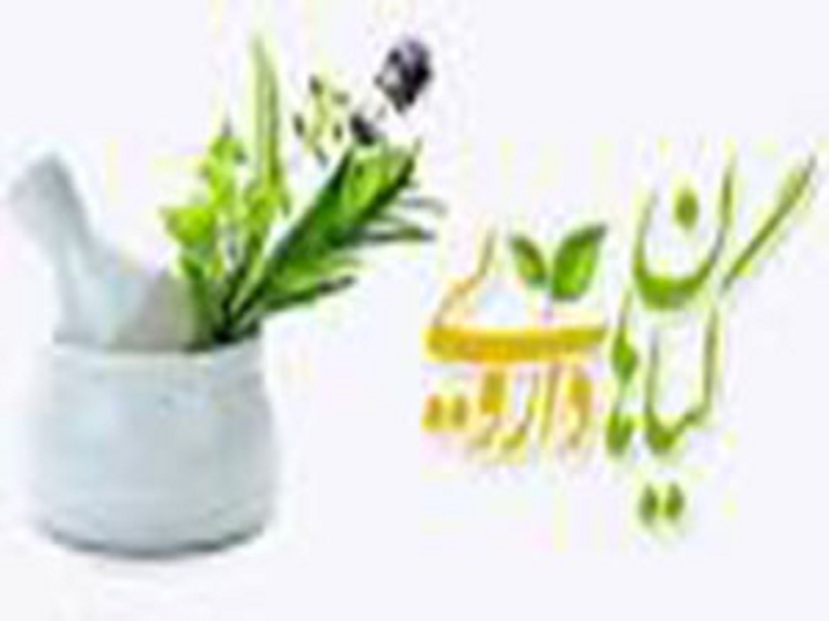 یکهزار و ۹۲۰ تن گیاه دارویی لرستان در سال جهش تولید فرآوری می‌شود