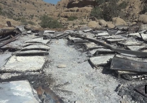 نابودی زنبورستان عسل در چرام