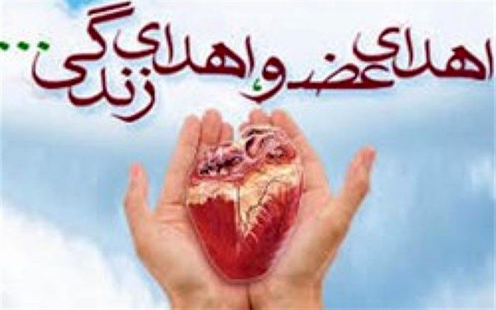 پایان ۱۸ سال زندگی به ۴بیمار نیازمند جان دوباره بخشید
