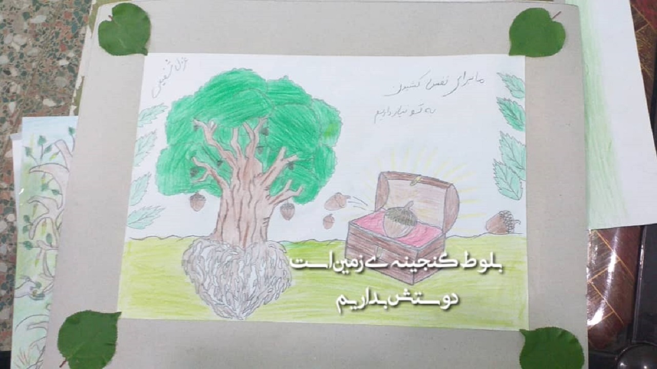 برگزاری مسابقه عکاسی و نقاشی با عنوان من بلوط را دوست دارم