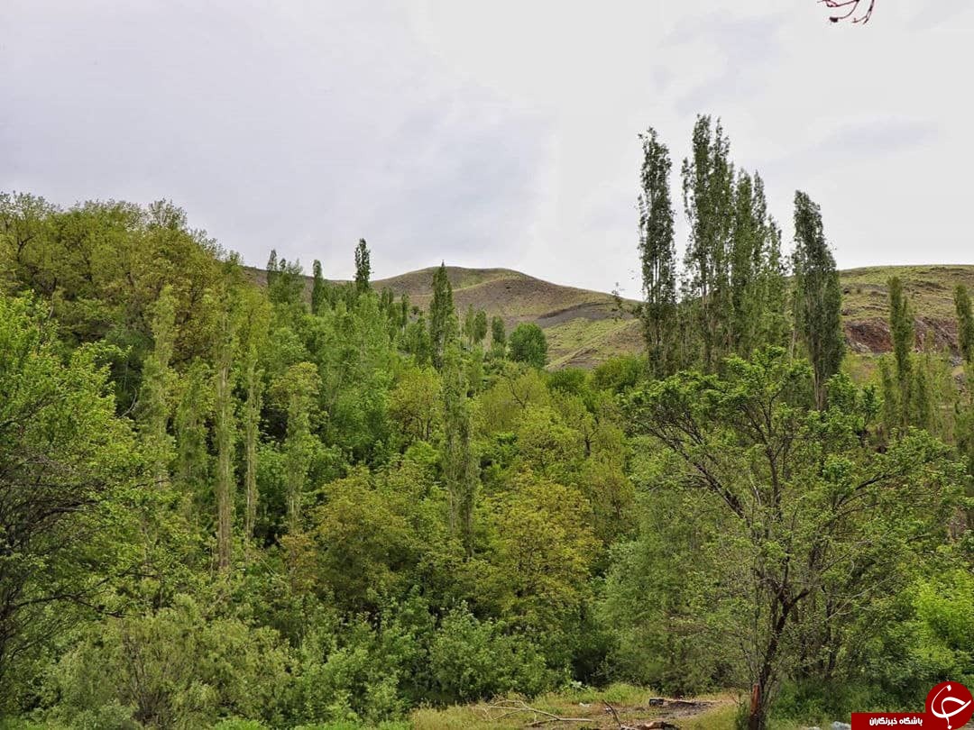 طبیعت کردینه طرقبه