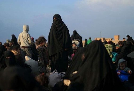 صلیب سرخ درباره بحران انسانی در شمال شرق سوریه هشدار داد